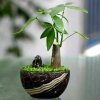 闲云野鹤的头像