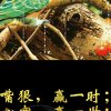 六盘飞雪的头像