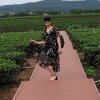 丽丽的头像