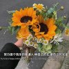 抗萌北鼻叫爹哋的头像