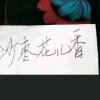 刀郎歌的头像