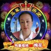 鸟巢星级主唱梅花的头像