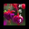 九歌 忠美友好的头像
