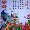 富貴牡丹的头像