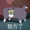 铃木爱理的头像