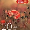 混儿子的头像