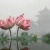 正能量的头像
