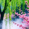 《木每》暂退（拒绝私信的头像