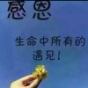 奋斗的头像