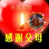 自由飞翔的头像