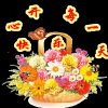 开心小芳的头像