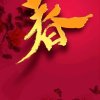 春暖花开的头像