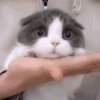栩墨的头像