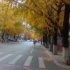 唐哥的头像