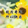 胡歌～曲终人散的头像