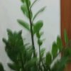 梦生的头像
