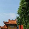 蓝天的头像