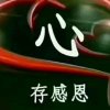 顺其自然的头像