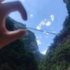 依然是我《退出》的头像