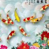伤心情歌王子的头像