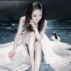 青莲的头像