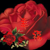 老热的头像