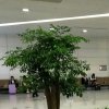 心凉如死的头像