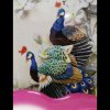 兰花的头像