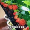 有你真好的头像
