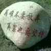 小红的头像