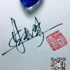 飞扬的头像