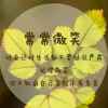 明天更好*^O^*暂退*^O^*的头像