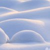  踏雪寻梅的头像