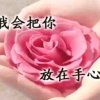 雨点的头像