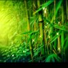 雲淡風清(粤苑梨園~楊兄)的头像