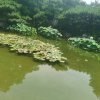 忆梦.的头像