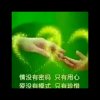 雨雨的头像
