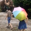 妮子的头像