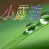 露珠儿的头像
