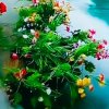 子芳的头像