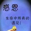 美美哒的头像