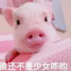 毁歌系列1的头像