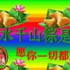 圣斗士的头像