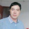 杨的头像