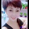 玫瑰的头像