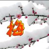 梅子的头像