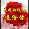 孤独者。的头像