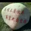 迟缓温暖的头像