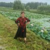 王彩华的头像