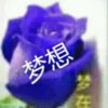 梦想的头像